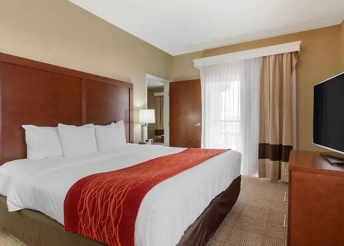 Comfort & At Powell Hotel