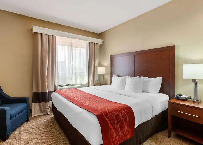 Hotel Comfort & At Powell Page