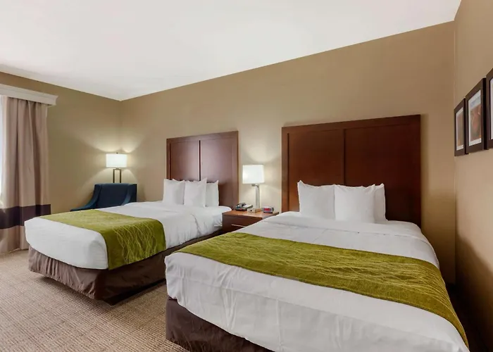 Comfort & At Powell 4*