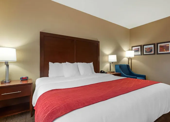 Comfort & At Powell 4*