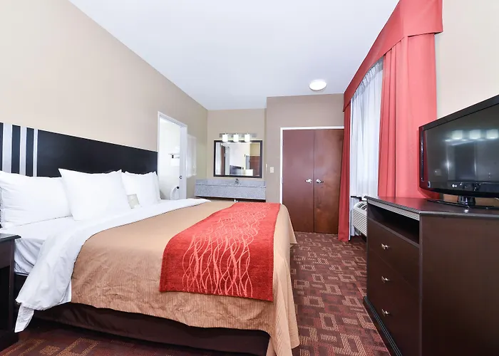 Comfort & At Powell 4*