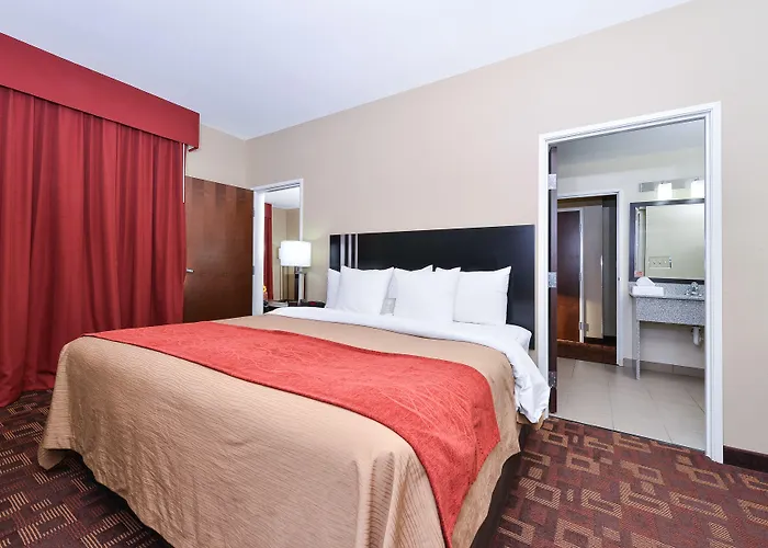Hotel Comfort & At Powell 4*