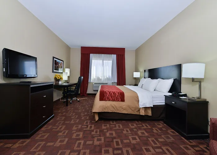 Comfort & At Powell Hotel Page
