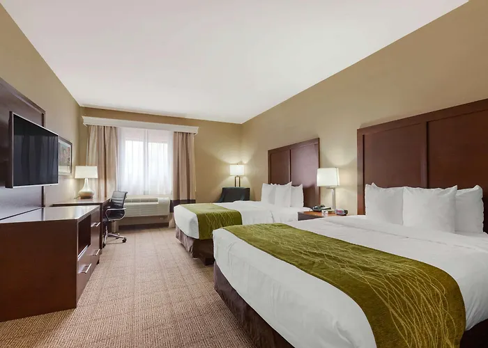 Comfort & At Powell Hotel