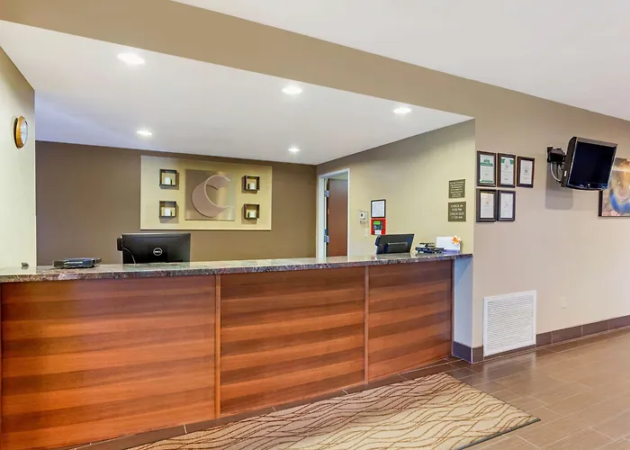 Comfort & At Powell 4*