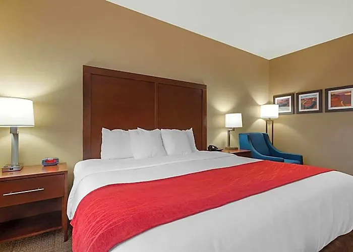 Comfort & At Powell Hotel