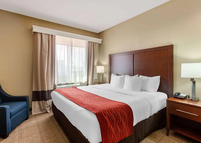 Hotel Comfort & At Powell