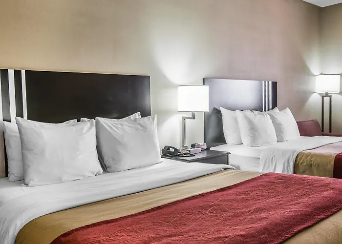 Hotel Comfort & At Powell