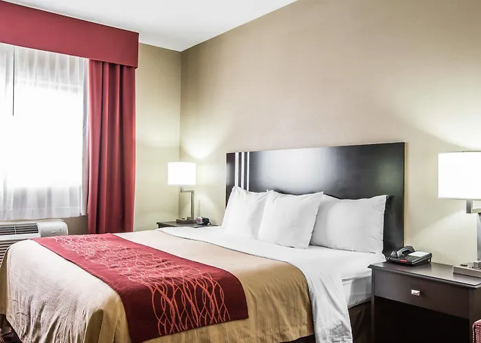 Comfort & At Powell 4*